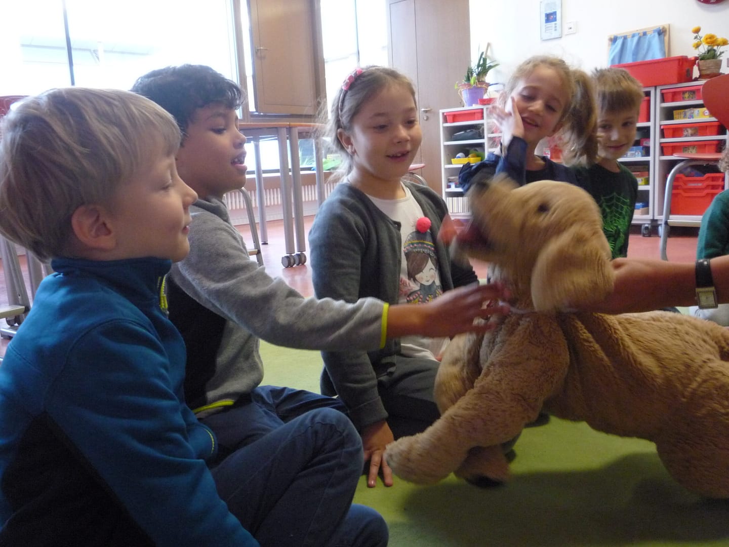 Bild von Cohund im Einsatz Bild von Cohund im Einsatz