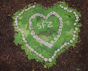 C3D4B9B0-CEC1-4821-90ED-A99EC8A053D6