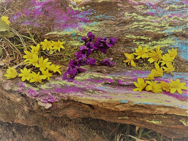 85529626-0DE6-49CA-8389-D7C0F30217E5